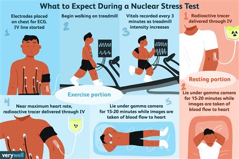 is nuclear stress test hard on kidneys|stress testing for kidney failure.